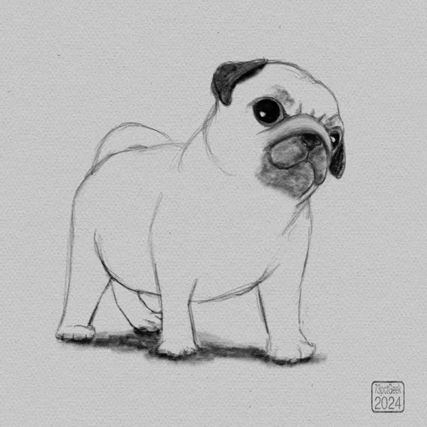 Digital graphite sketch of a pug.