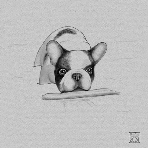 Digital sketch of a French Bulldog standing chest deep in water, which is merely hinted at, and reaching for a floating stick