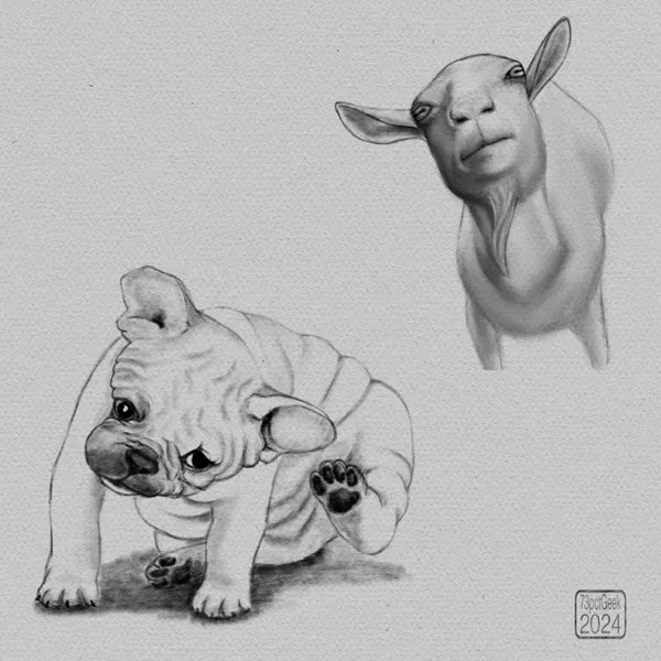 Digital graphite sketches of a French Bulldog puppy attempting to scratch itself, and a goat.