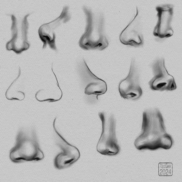Digital studies of 14 different noses.