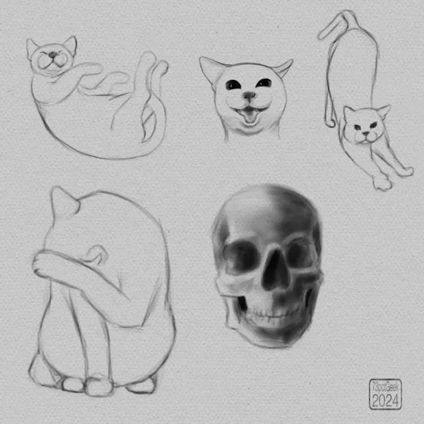 Digital sketches of a skull, and four different cats.