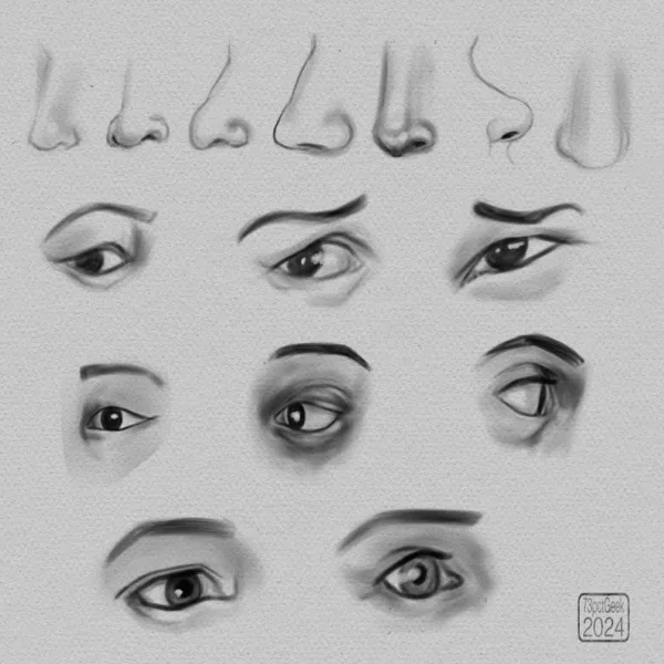Digital studies of 8 different noses, and 8 different eyes.