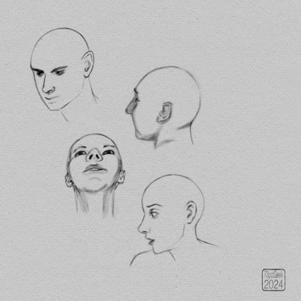 Digital sketch of 4 different heads.