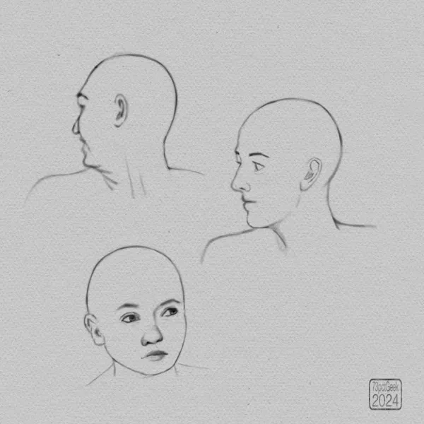 Digital sketch of 3 different heads.