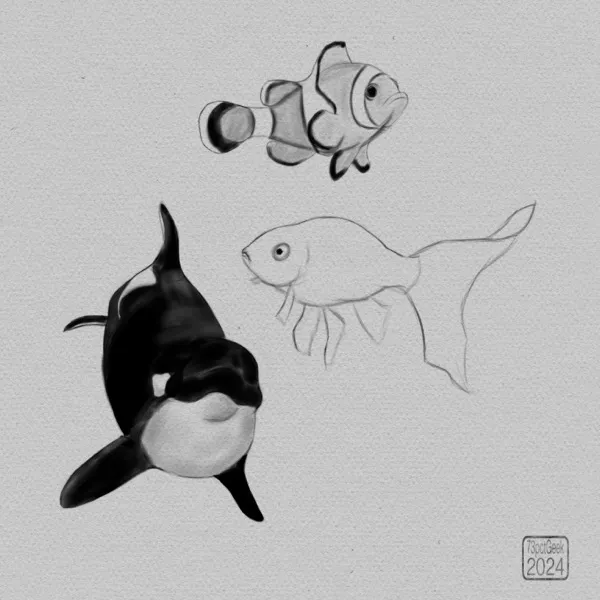 Digital graphite sketches of an orca, a clownfish, and a goldfish