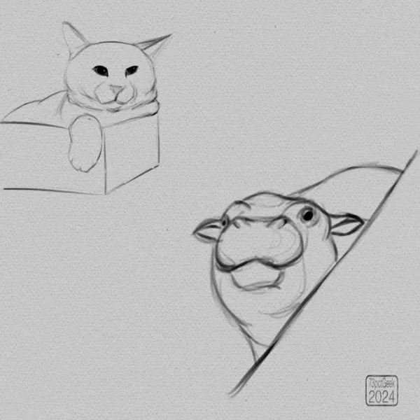Quick sketches of a cat resting in a cardboard box, and a Pygmy hippo