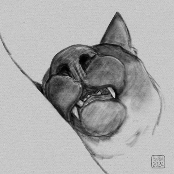 Digital sketch of a cat snout in close up.