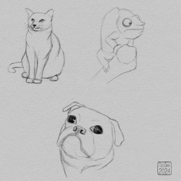 Quick digital sketches of a sitting cat, a chameleon clinging atop a stick and the head of a pug.