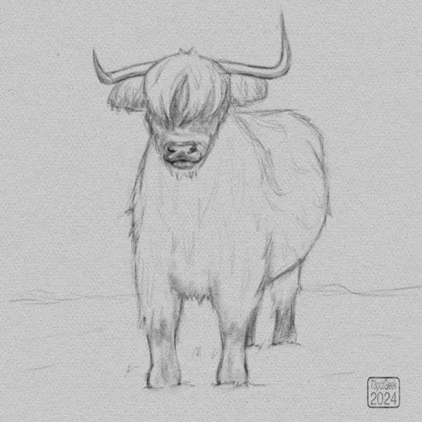 Digital graphite sketch of a fluffy cow.