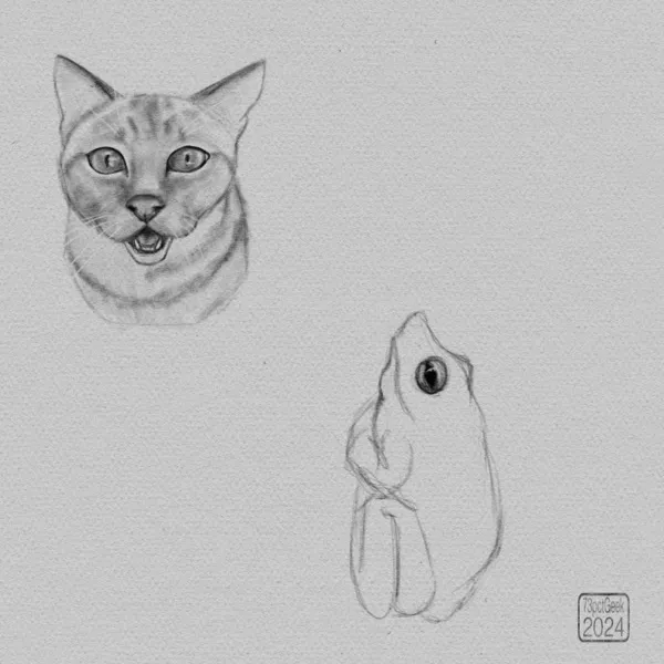 Digital sketch of a cat and a frog.