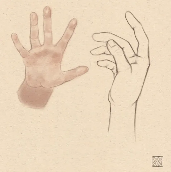 Digital sketches of two hands in different poses. One is rendered, the other line art.