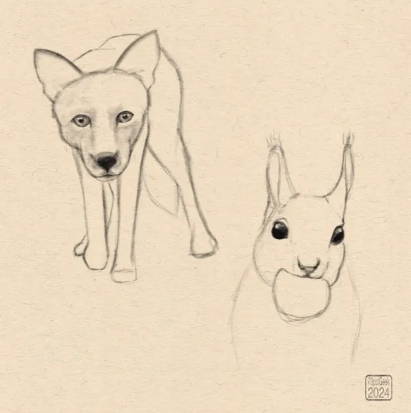 Excessively quick digital sketches of a coyote and a squirrel.