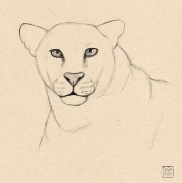Quick digital pencil sketch of the head of a big cat.