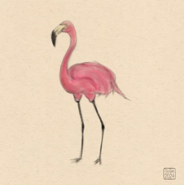 Digital sketch of a pink flamingo.