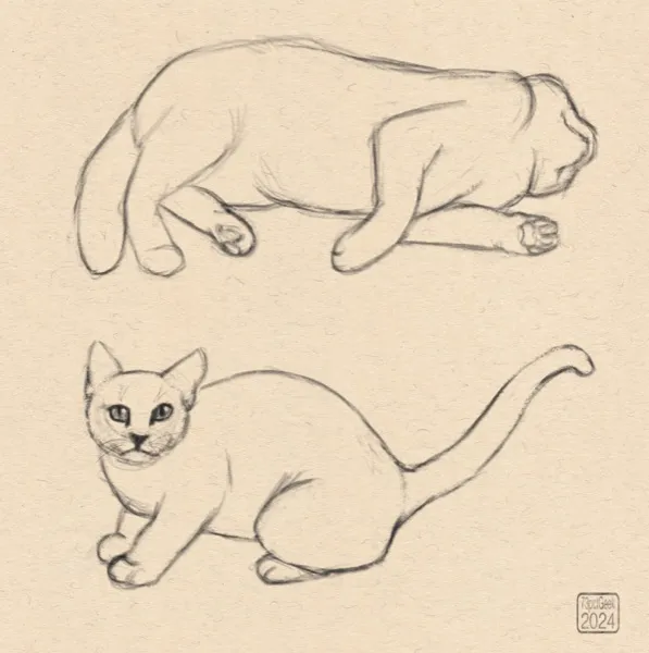 Digital sketches of two different cats.