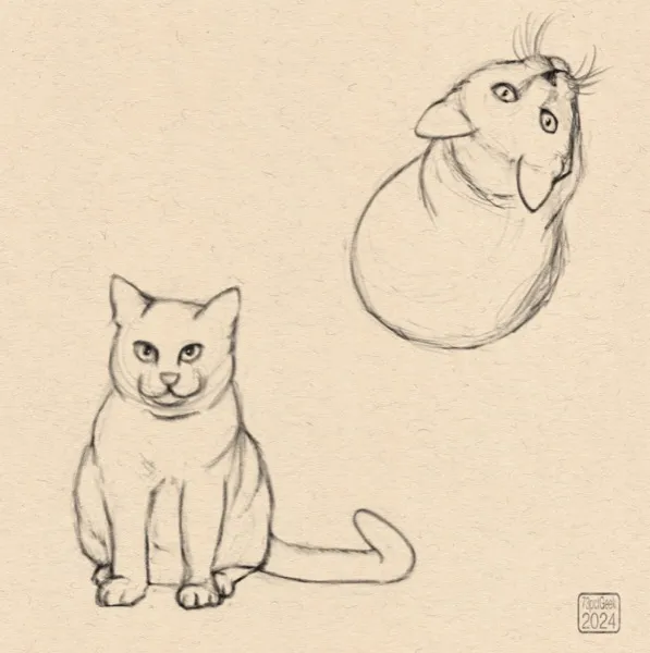 Digital sketches of two different cats. 