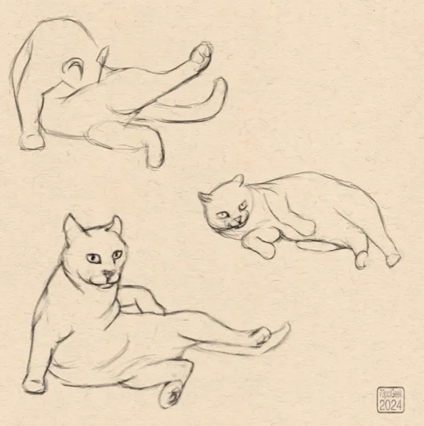 Digital sketches of three different cats.