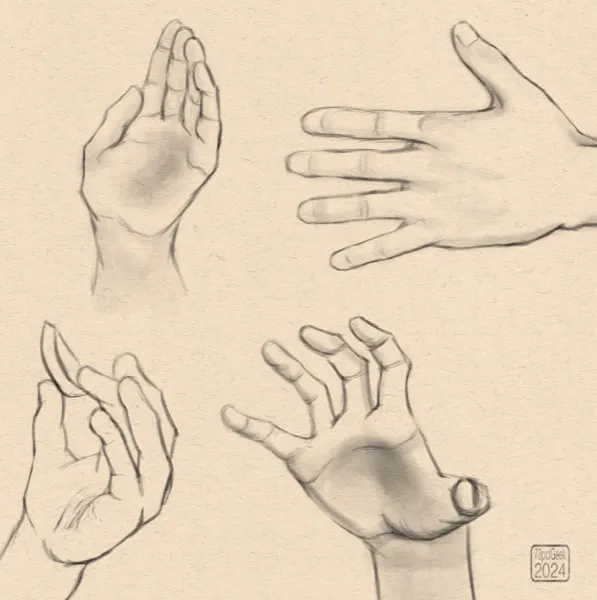 Digital sketches of four hands in different poses. 