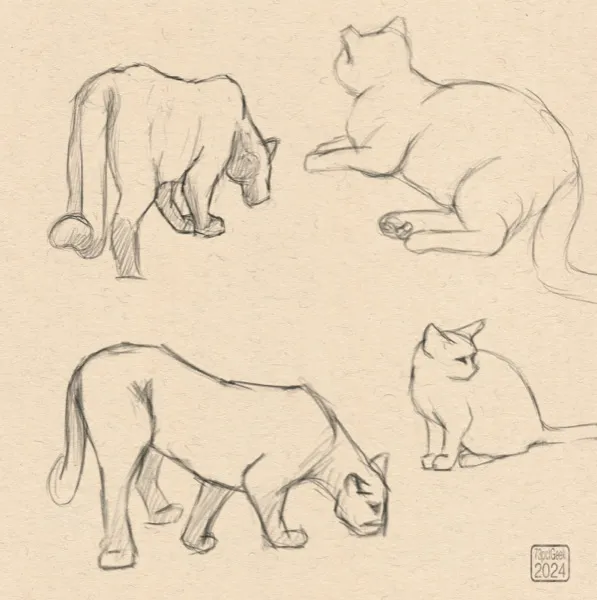 Digital sketches of four different cats: two big cats, and two house cats.