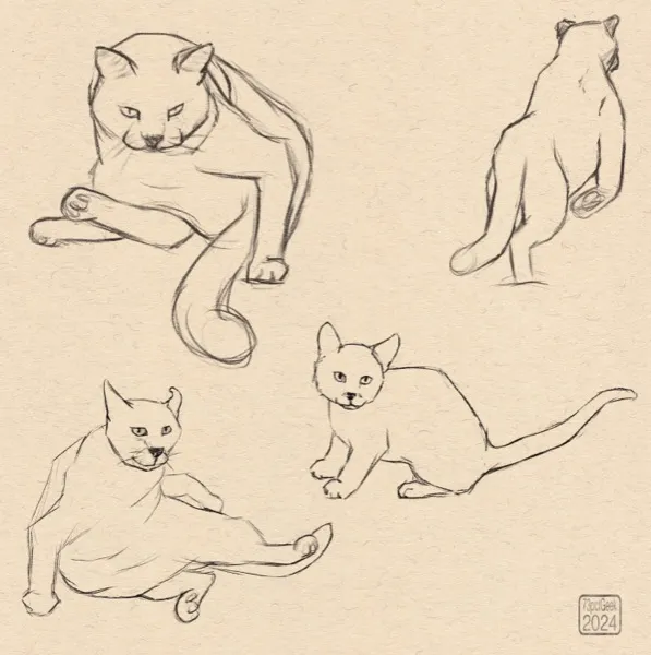 Digital sketches of four different cats, one of which is a big cat, the others are house cats.