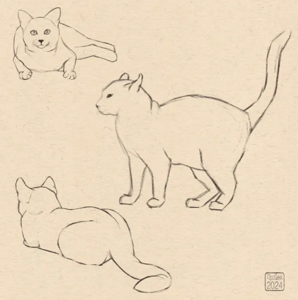 Digital sketches of three different cats.
