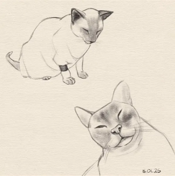 Digital sketch of two different cats, one which has a bandage around one leg.