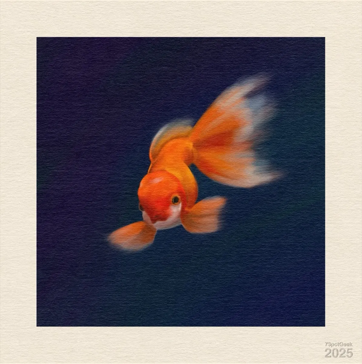 Digital gouache colour study of a fancy goldfish against a dark background.