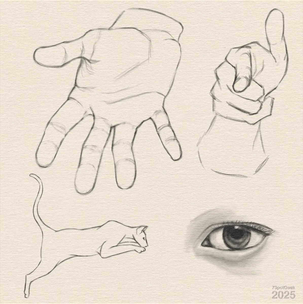 Digital graphite sketches of two hands in different poses, an eye, and a leaping cat.