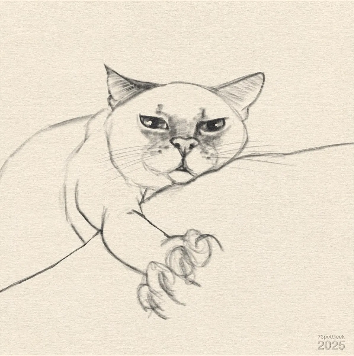 Messy graphite sketch of a cat resting on a surface and extending a paw towards the viewer, its claws unsheathed.
