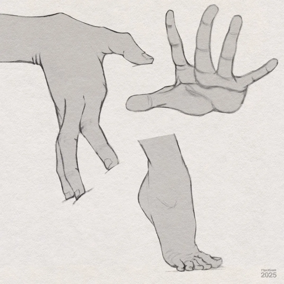 Digital graphite sketches of two different hands, and a foot, in various poses.