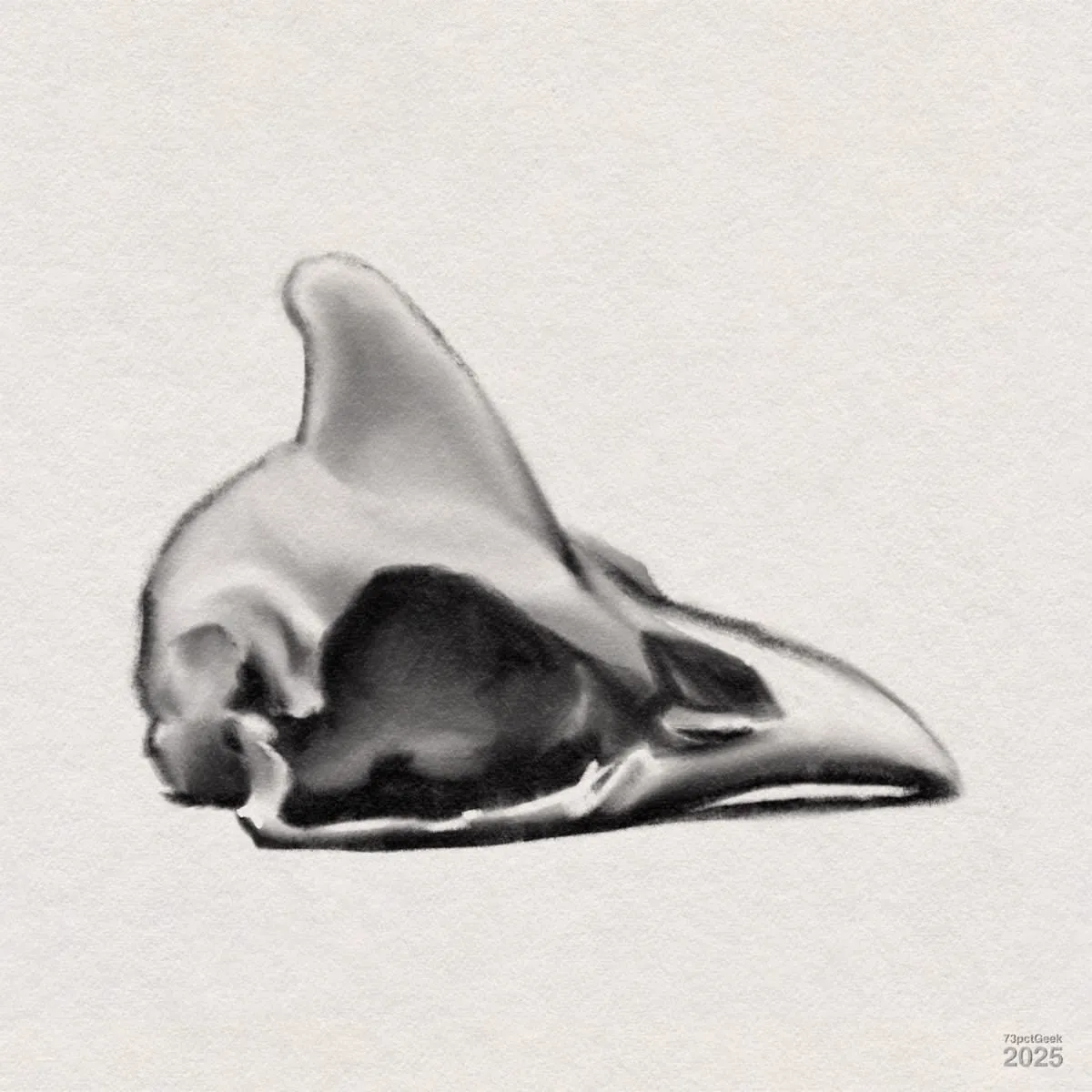 Digital charcoal sketch of a skull.