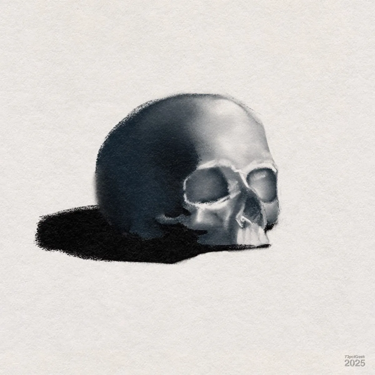 Digital charcoal study of a skull.