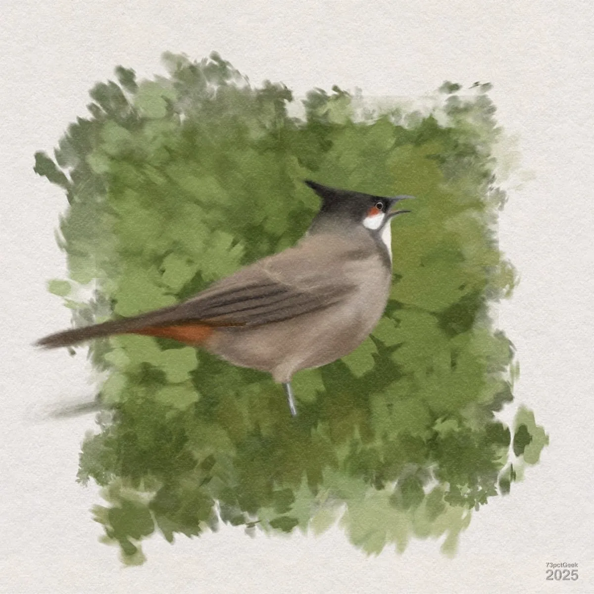 Digital gouache of a small brownish bird (red-whiskered bulbul) with a pointy black cap that looks a little bit like a witch’s hat, against a green background.