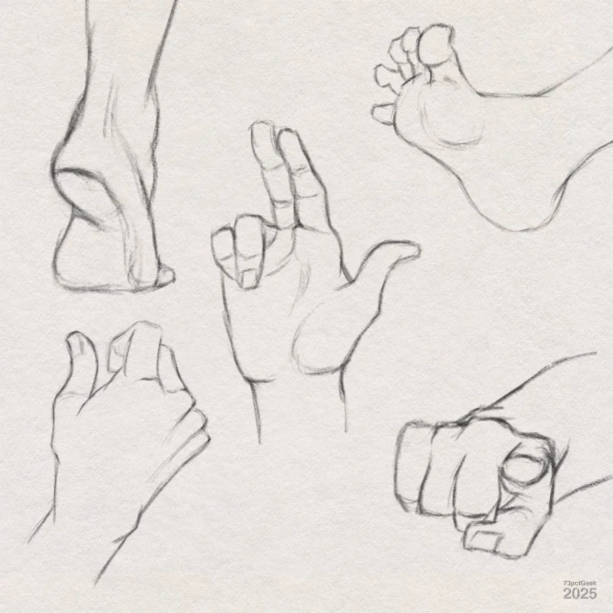 Digital graphite sketches of three different hands, and two different feet.