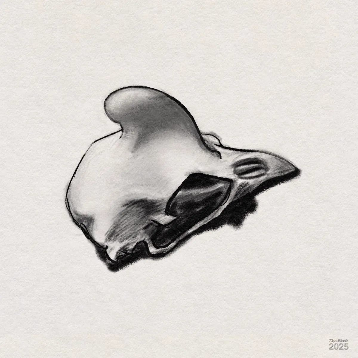 Digital graphite and ink sketch of a little crested bird skull.