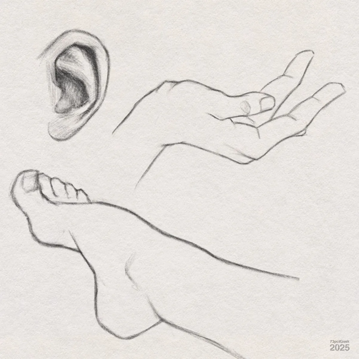 Digital graphite sketch showing three distinct human body parts: an ear at the top left, an open hand with the palm facing up and fingers relaxed in the centre right, and a foot towards the bottom. The sketches are simple and focus on contours and basic shading, capturing realistic forms.
