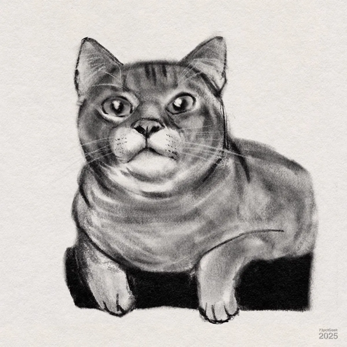 Digital charcoal sketch of a cat. The cat has large, round eyes looking forward, with pronounced whiskers and a round face. Its ears are perked up, and the front paws are drawn in front of its body. The shading gives a sense of texture to the fur.
