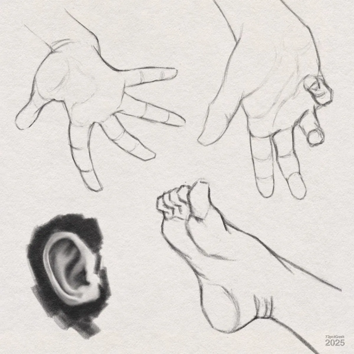Digital graphite sketches of a hand in different positions, an ear, and a foot. The hand is shown with spread fingers in two views. The ear is rendered with more shading, and the sketches have a loose, gestural style.