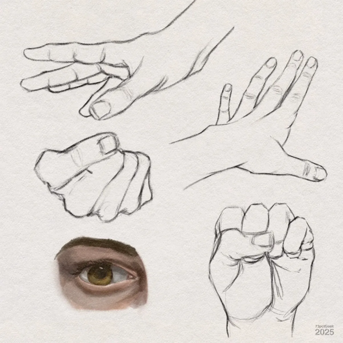 Digital graphite sketches of hands and a digital gouache eye. The hands are drawn in different poses: one hand with fingers spread, one with fingers together in a relaxed position, and two in fists. The eye, in contrast, is depicted with detailed coloration and shading, showing a brown iris.