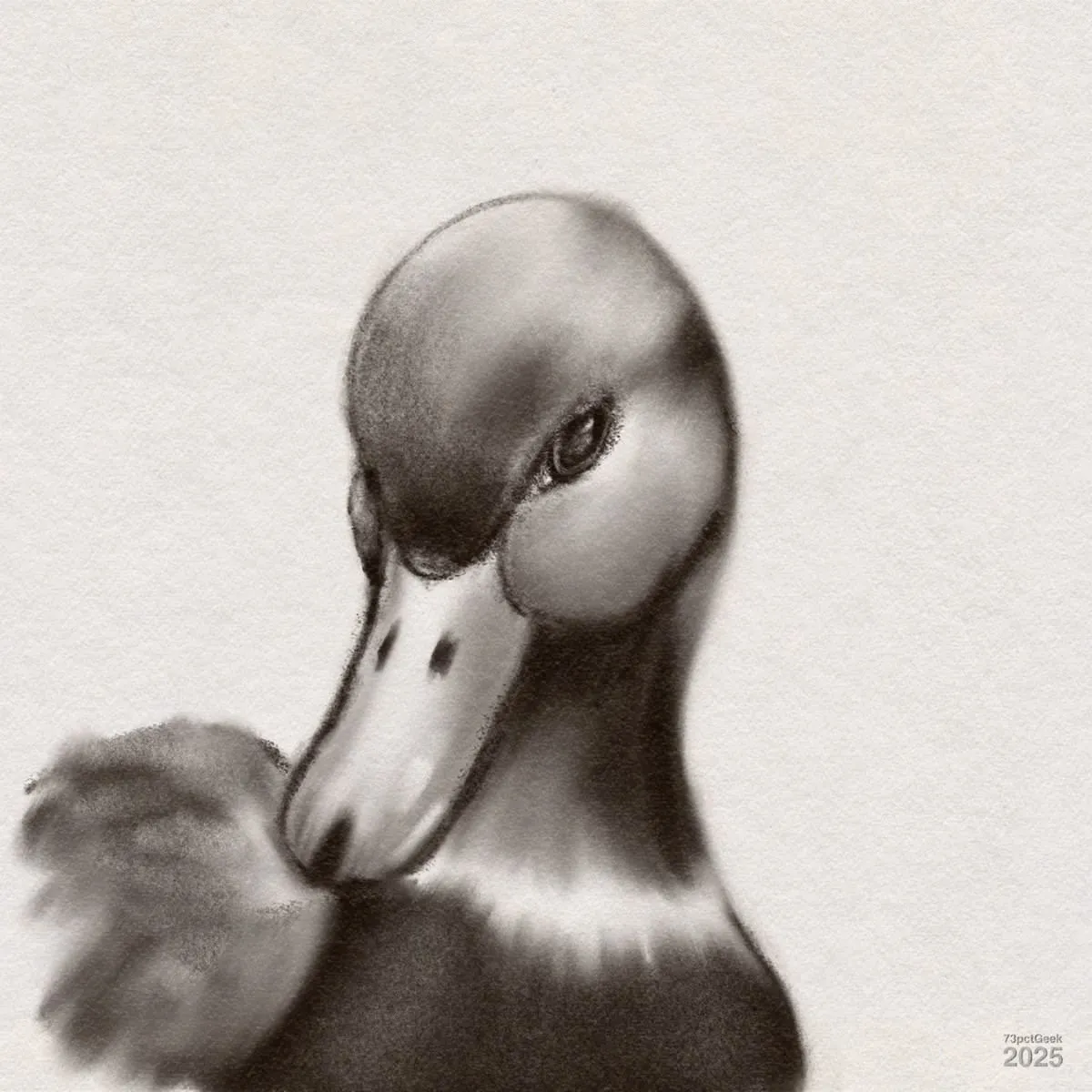 Digital charcoal drawing of a duck's head