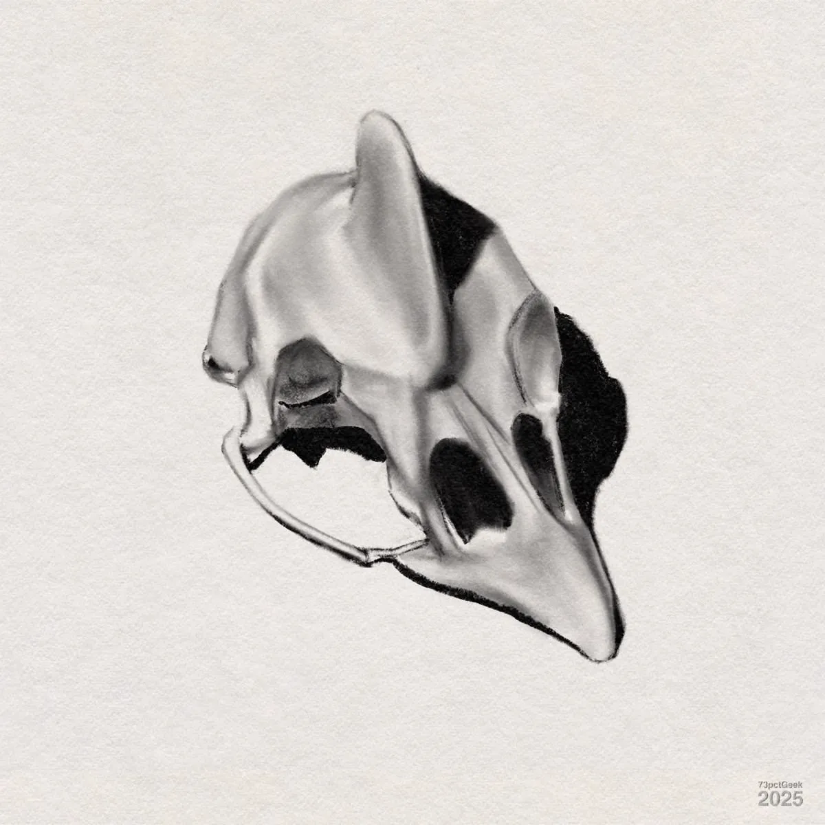 Digital charcoal drawing of an bird’s skull. The skull features prominent eye sockets, a long pointed beak, and an upright crest, giving it a distinctive shape. The dark shadows and highlights convey depth and structure, while the overall style is realistic and detailed.