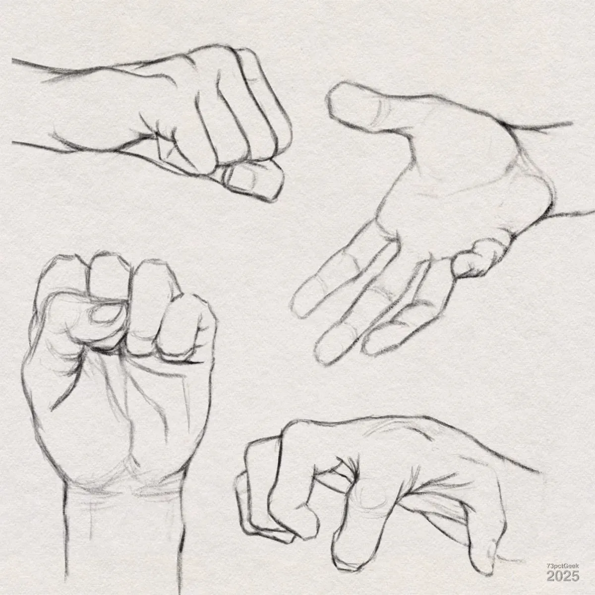Digital graphite sketches of four different hands. The top left hand is drawn in a fist with the thumb wrapping over the curled fingers. The top right hand is open with the palm facing upward and fingers relaxed. The bottom left hand forms a tight fist with visible thumb and fingertips. The bottom right hand is partially curled, as if in the motion of grabbing something, with the fingers bent and slightly apart.