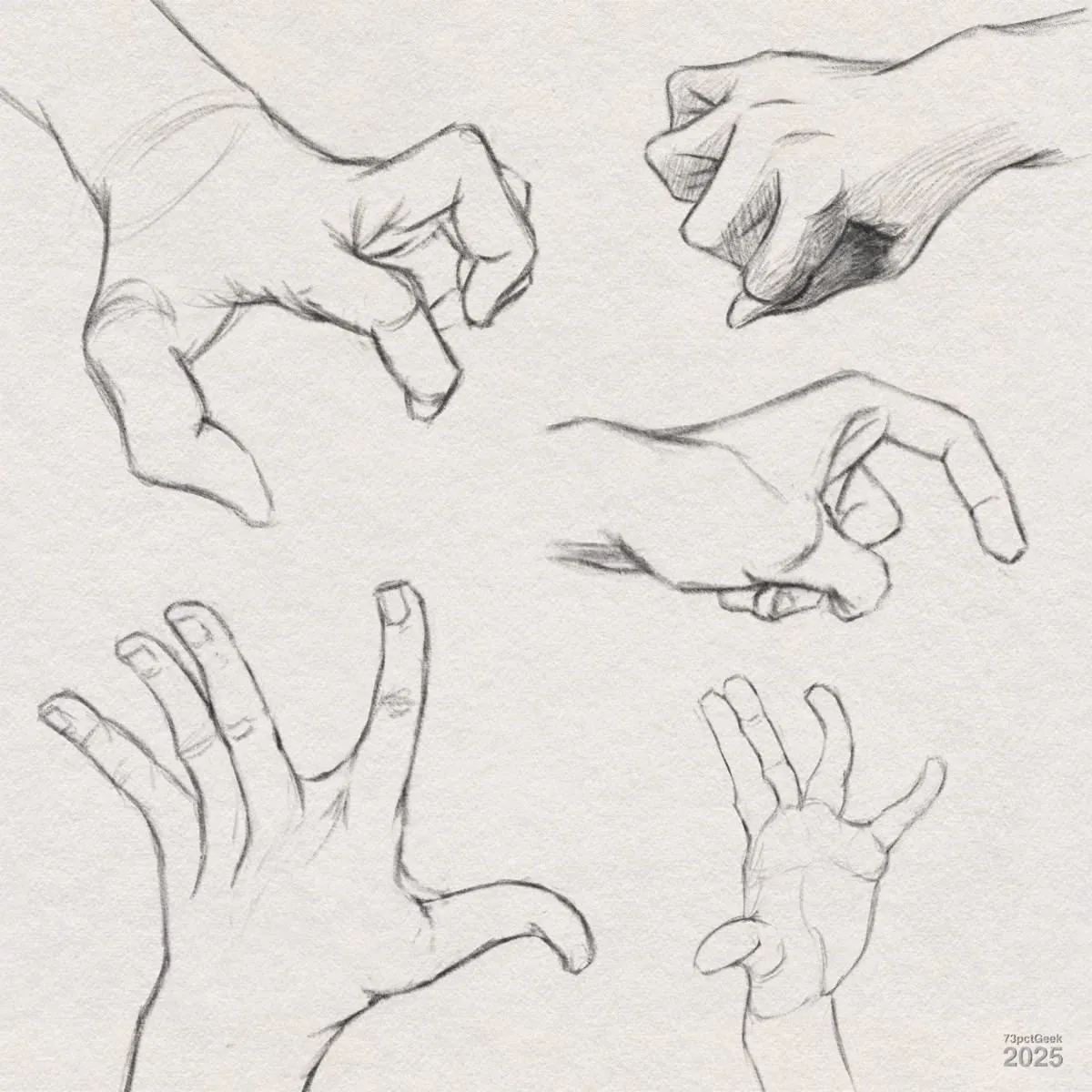 Digital graphite sketches of five different hands. The hands are drawn in different poses: gripping, making a fist, pinching, and splaying fingers wide. Each sketch displays attention to anatomy, with visible knuckles, fingernails, and shading to suggest depth.