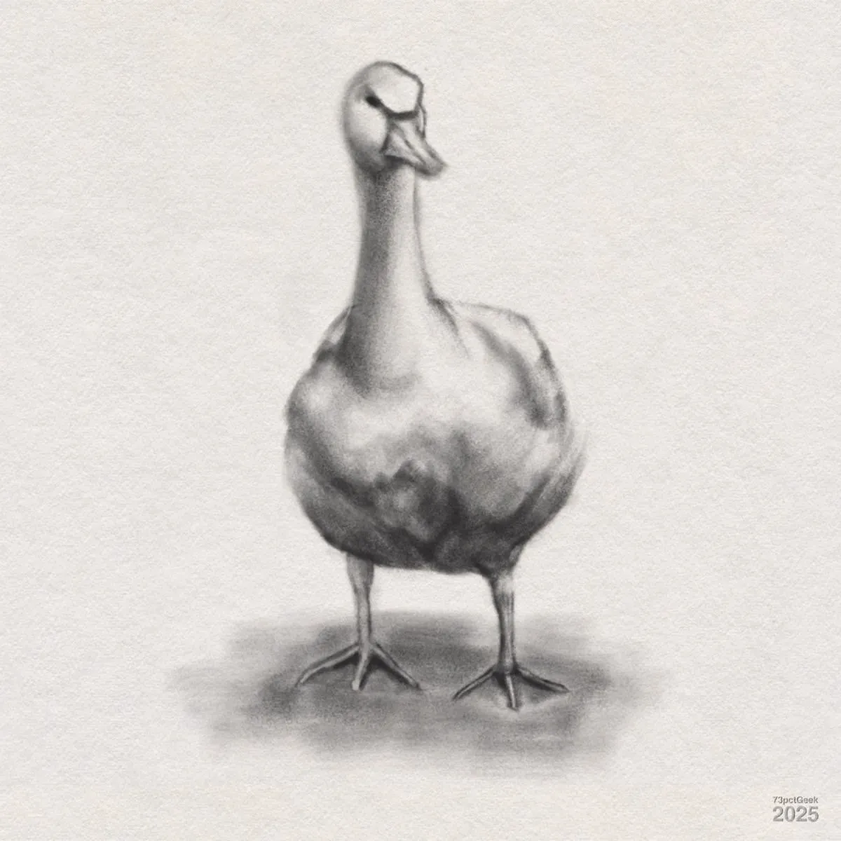 Digital graphite drawing of a goose, standing upright and facing forward. The bird's body appears plump, with webbed feet clearly visible and its long neck slightly curved. Shading is used to add depth and texture, with subtle shadows beneath the feet. The background is plain, allowing the goose to stand out.