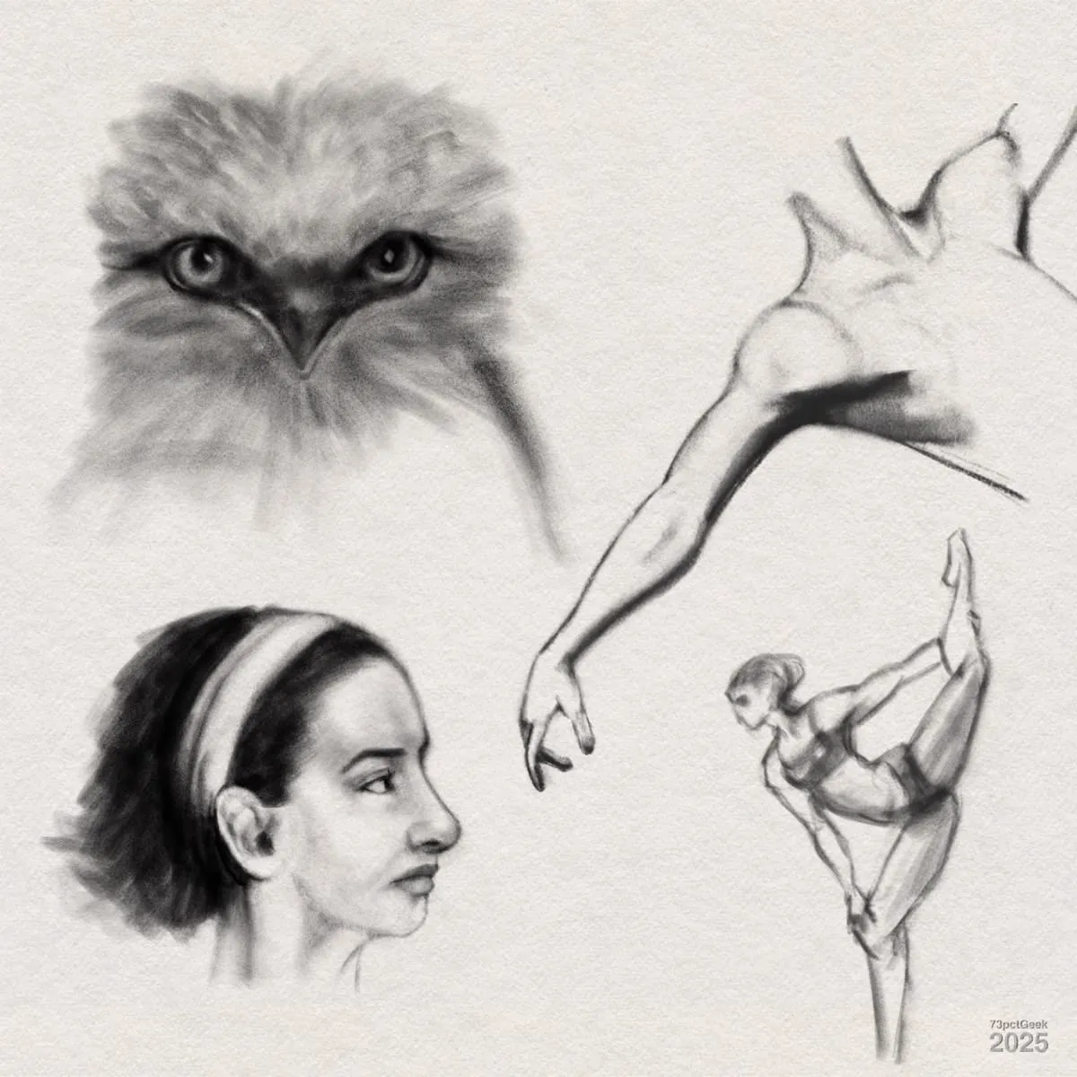 Digital graphite sketches of four different subjects. Top left: a sketch of tawny frogmouth’s head, with emphasised eyes and beak. Bottom left: a side profile of a woman's face, her hair pulled back with a headband. Top right: a sketch of a muscular, outstretched arm transitions into the shoulder and back, emphasizing anatomy. Bottom right: a dynamic figure of a female gymnast balancing on one leg, steadying herself on her knee, and with the other leg lifted high behind her and her arm reaching backward to grasp her foot.