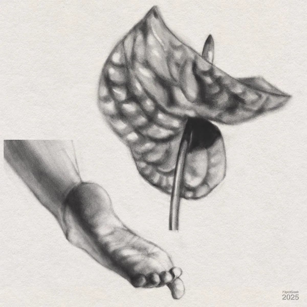 Digital graphite black and white sketches of a foot and an anthurium flower. Bottom left: A pointed foot seen from behind with sole facing upwards. Top right: An anthurium flower, detailed with wavy, textured patterns on its spadix and spathe.
