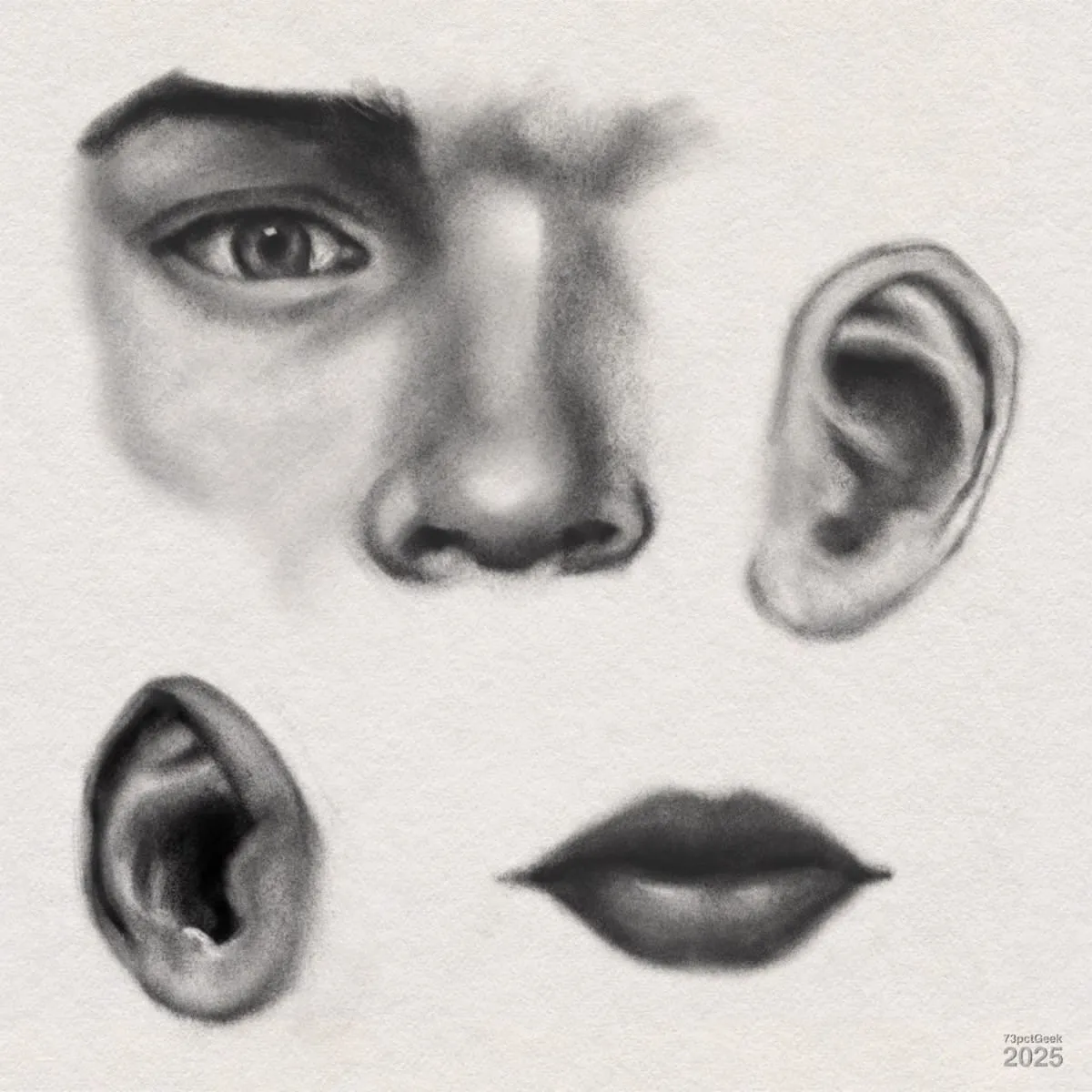 Digital graphite studies of facial features. A partial man’s face, showing one eye with an eyebrow, and a nose. Two different ears, and a pair of lips. There is a soft, shaded effect to each feature, emphasising contours and depth.