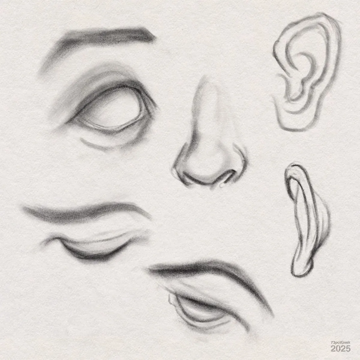 Digital graphite sketches of facial features, including three eyebrows and eyes without pupils, a nose, two ears in different positions. The drawings are shaded in a soft, sketchy style. 