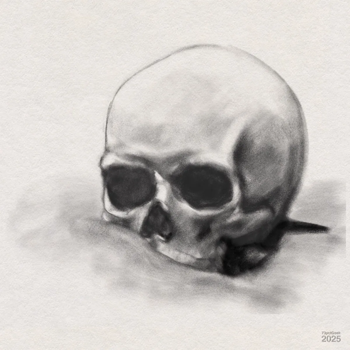 Digital graphite drawing of a human skull resting on a gently heaped surface, which obscures part of the upper jaw on one side. Soft shading creates depth and highlights the contours of the skull. Empty eye sockets and nasal cavity are dark and prominent.