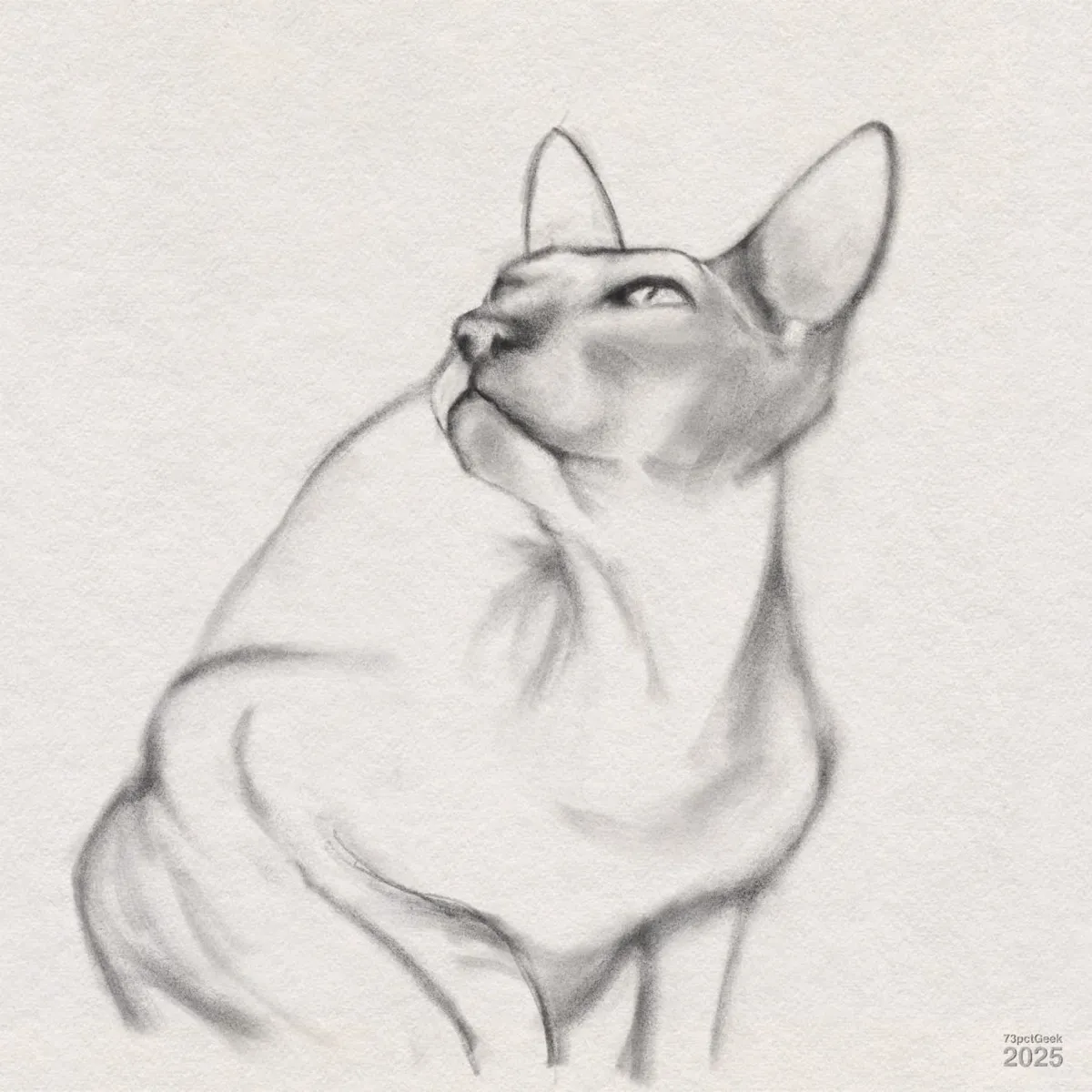 Digital graphite sketch of a Sphynx cat. The cat’s head turned to the side and looking upward. Its features, including large ears and wrinkled skin, are softly accentuated by light and shadow.
